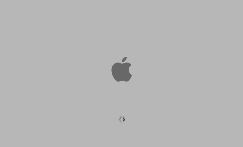 Mac OS X Gray Screen of Death
